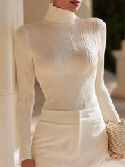 Textured Turtleneck Fitted Knit Top