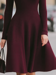 Burgundy Knit Collared V-Neck A-Line Midi Dress