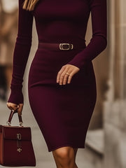 Sleek Burgundy High-Stretch Cotton Dress with Turtleneck
