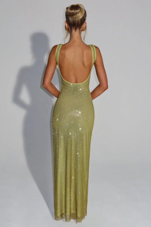 Elegant Embellished Evening Maxi Gown