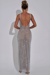 Elegant Embellished Evening Maxi Gown