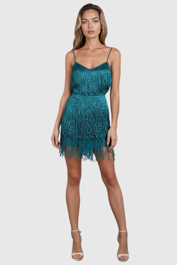 Fringe Cocktail Dress