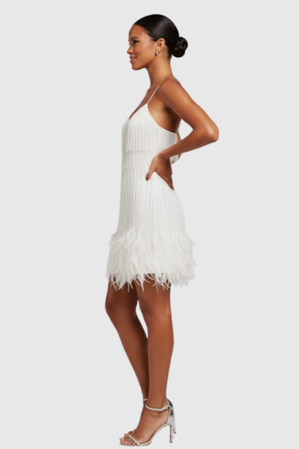 Fringe Cocktail Dress