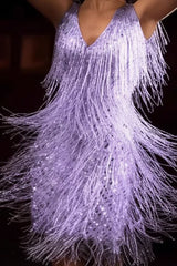 Gleaming A-Line Dress Fringe