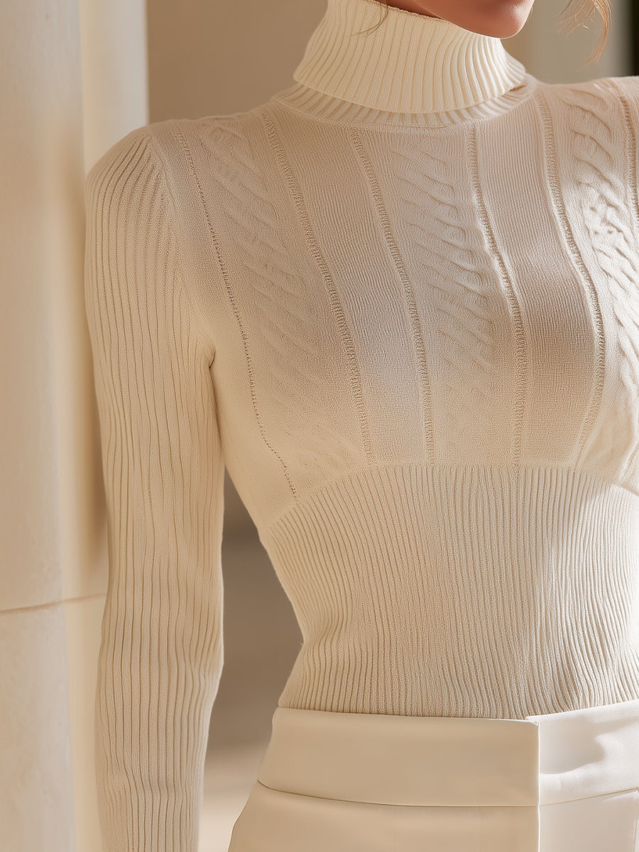 Textured Turtleneck Fitted Knit Top