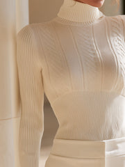Textured Turtleneck Fitted Knit Top