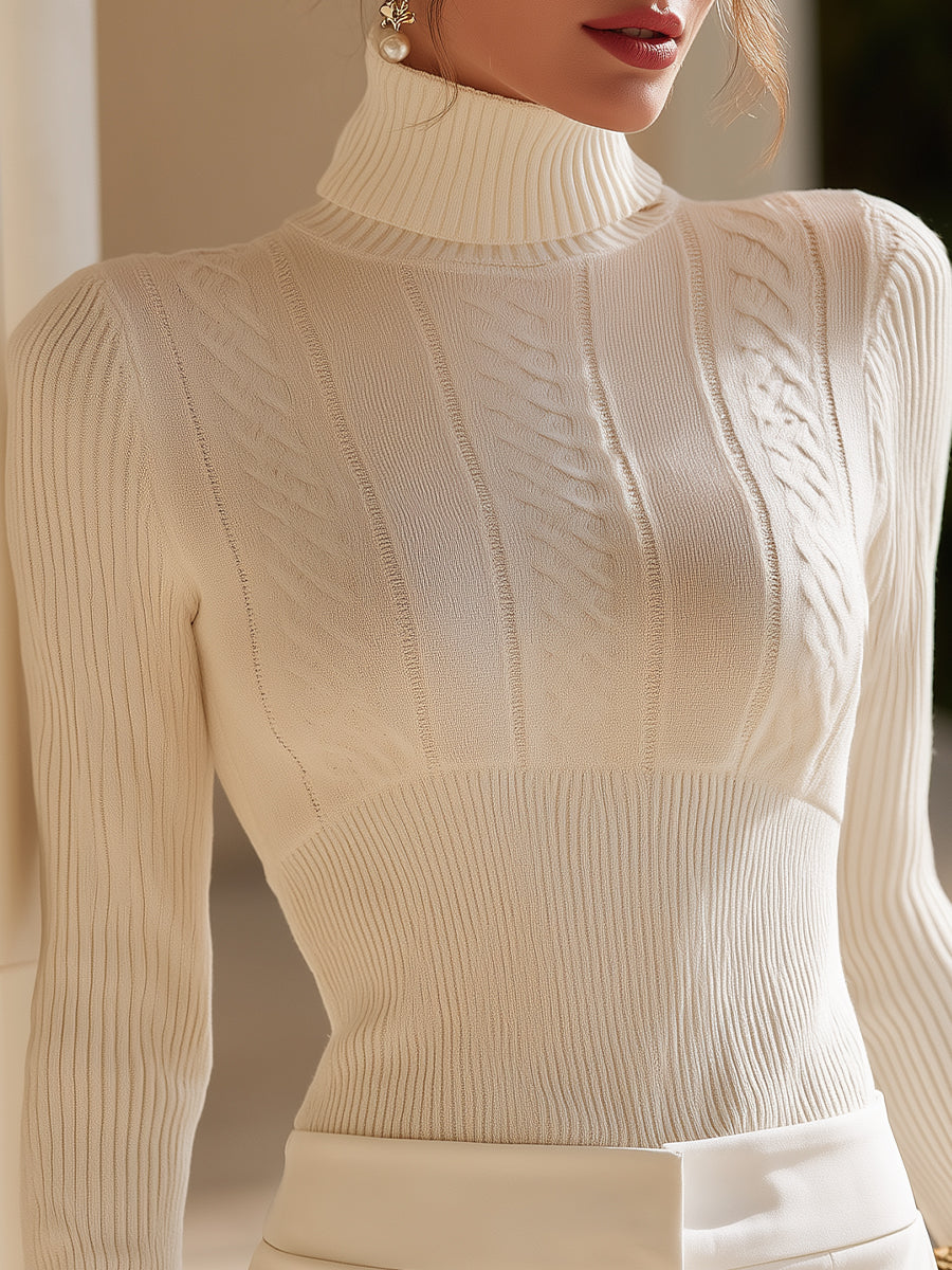 Textured Turtleneck Fitted Knit Top