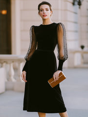 Sheer Dot Sleeve A-Line Midi Dress